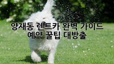 양재동 렌트카 완벽 가이드 🚗💨 예약 꿀팁 대방출!