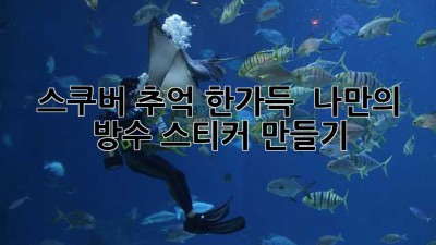 스쿠버 추억 한가득! 🌊 나만의 방수 스티커 만들기 🤿